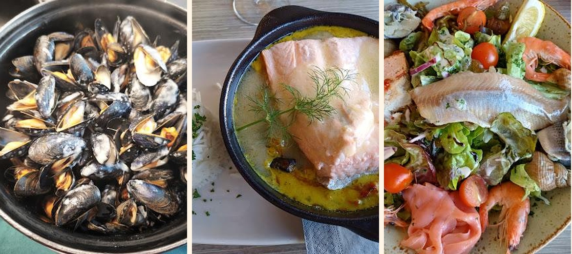 Hippocampe - Gallery Image 2