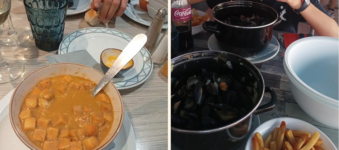 Hippocampe - Gallery Image 5