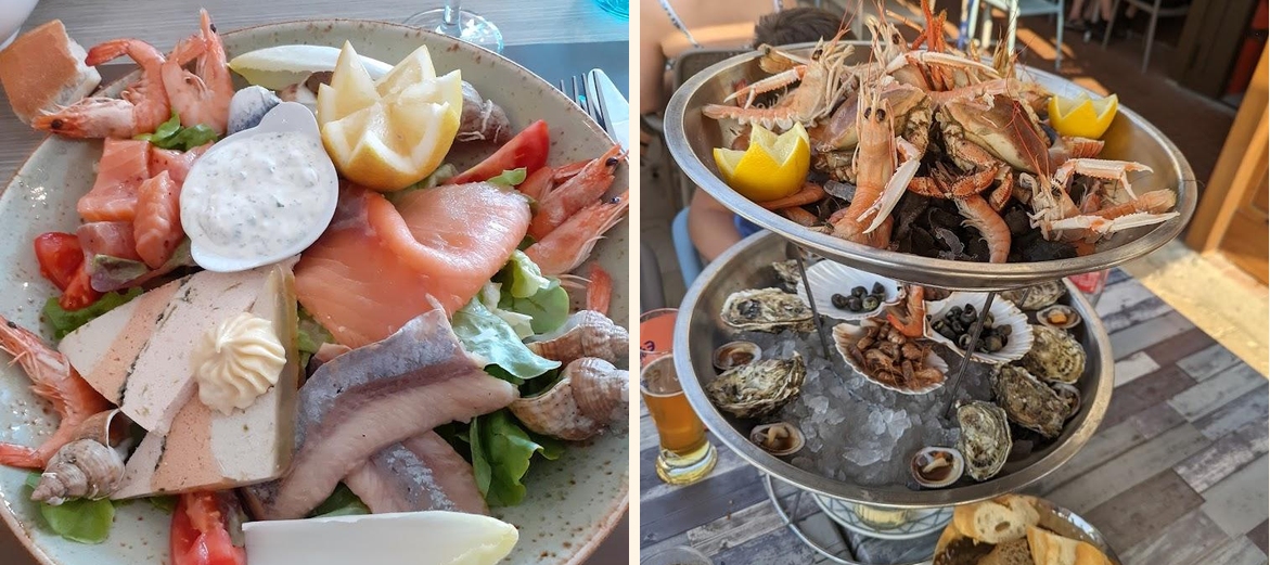 Hippocampe - Gallery Image 6